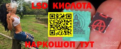 спиды Заводоуковск