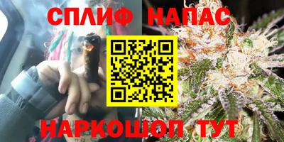 спиды Заводоуковск